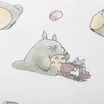 中川政七商店(Nakagawa Masashichi Shoten) となりのトトロ｜写真35