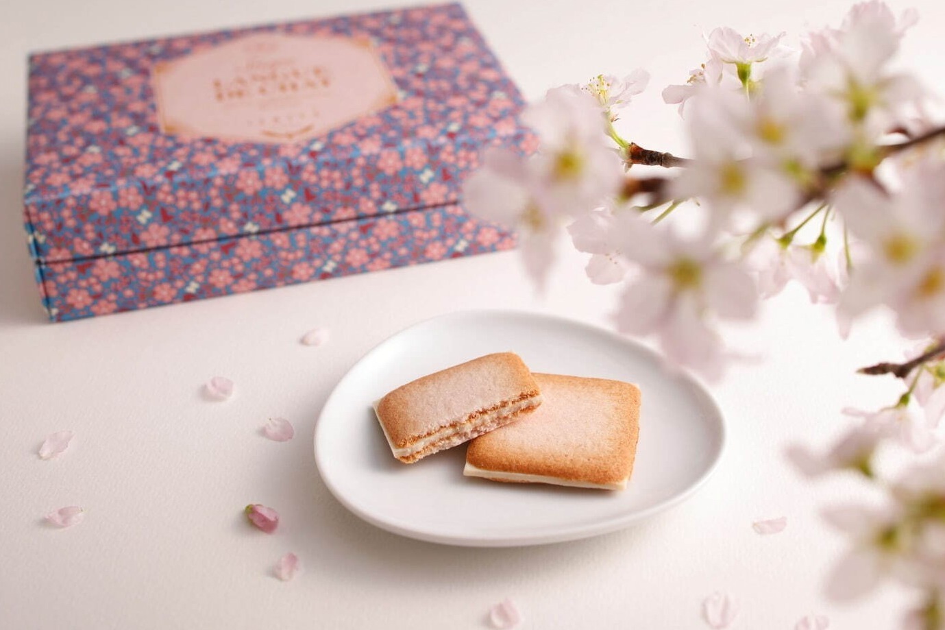 “白い恋人”石屋製菓のイシヤ・ジー、ふわっと桜香る春限定「サク ラング・ド・シャ」