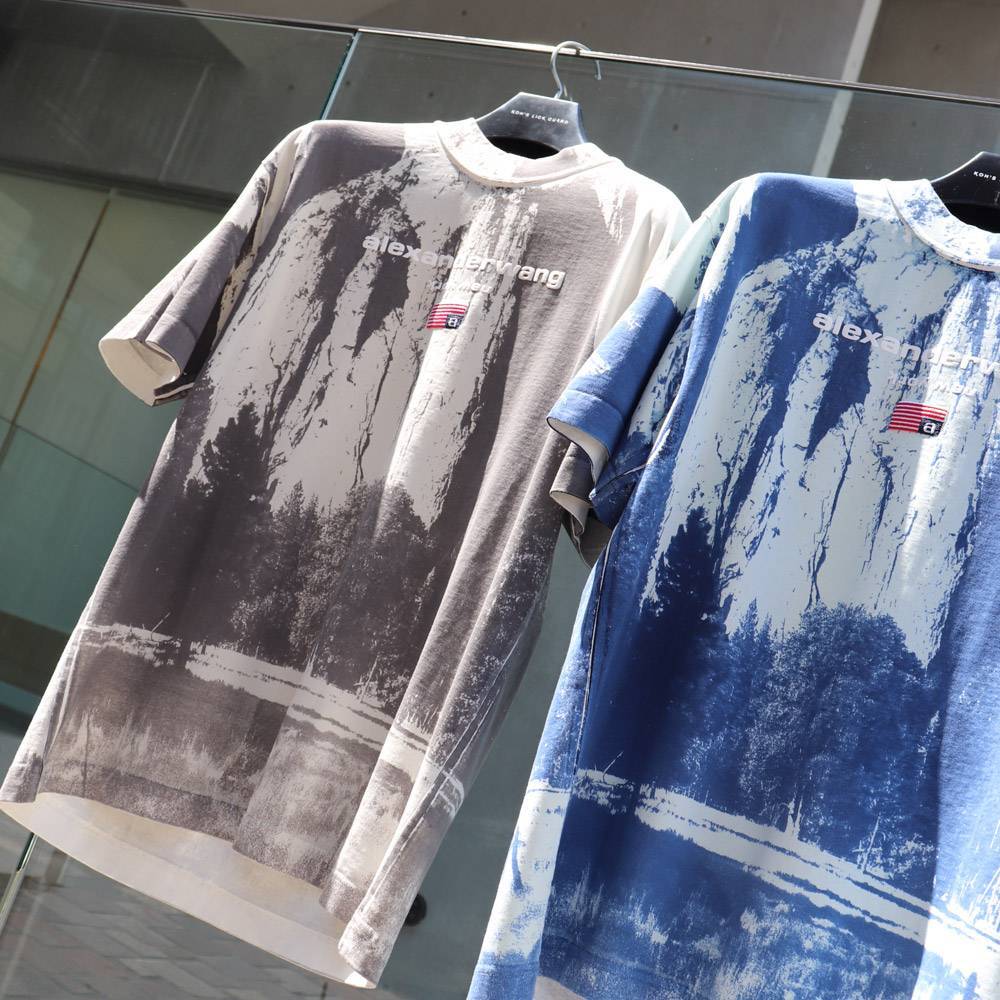 alexanderwang / AW CATHEDRAL ROCK GARMENT PRINTED TEE - 画像1枚目