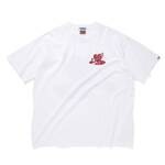 CITY COUNTRY CITY cotton S/S T-shirts life is something special 3