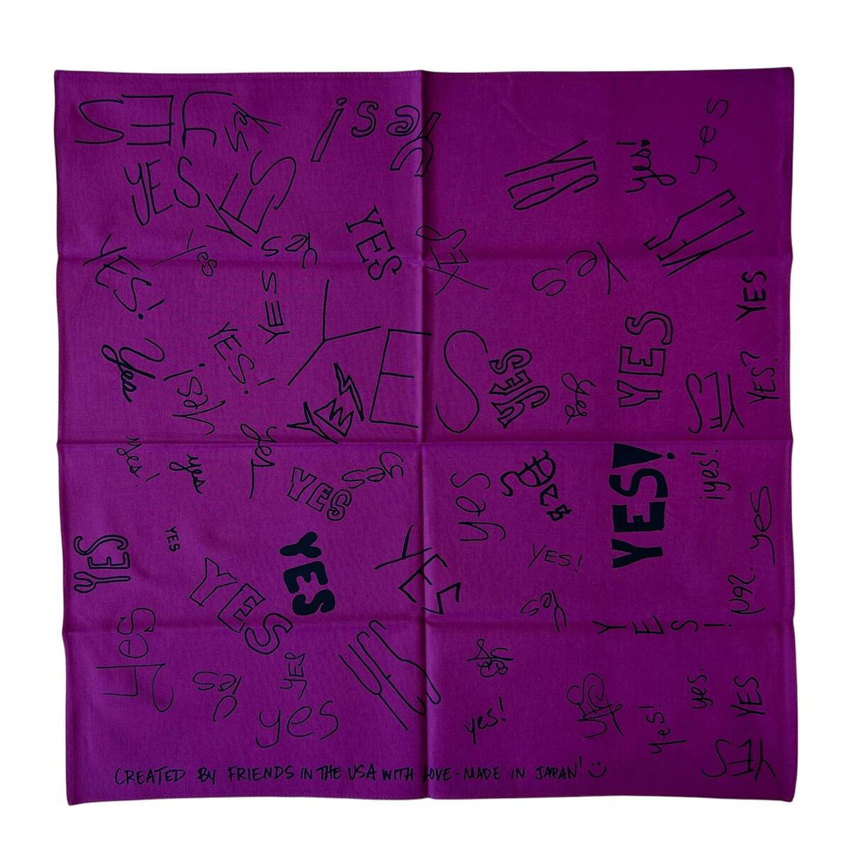 DRESSSEN YES BANDANA - 画像3枚目