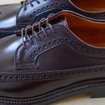 LONG WING TIP BLUCHER OX - Cordovan【Alden】 3