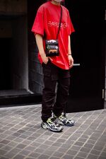 【BALENCIAGA】elephants 1