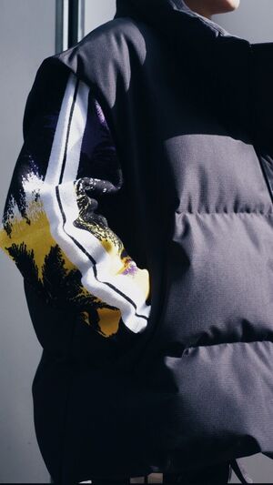 【PALMANGELS】elephants