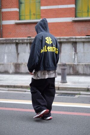 【BALENCIAGA】elephants